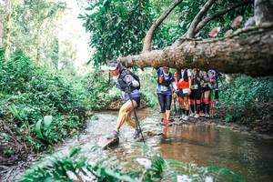 BIB: 
                            <button type="button" onclick="openModal(25516839)" class="btn btn-primary btn-sm float-right btn-popup" data-toggle="modal" data-target=".modal-high-quality">
                        <i class="fas fa-shopping-cart"></i> Add to Cart
                    </button>
                                            <button type="button" onclick="isThisMe(25516839, true)" class="btn btn-success btn-sm float-right btn-popup btn-isme hidden" data-toggle="tooltip" data-placement="bottom" title="นี่คือรูปของคุณใช่ไหม คลิกที่นี่เพื่อเอาเข้าอัลบั้ม">
                        <i class="fas fa-plus"></i> Add to album
                    </button>
                    <button type="button" onclick="isThisMe(25516839, false)" class="btn btn-warning btn-sm float-right btn-popup btn-isnotme hidden">
                        <i class="fas fa-ban"></i> Remove from album
                    </button>